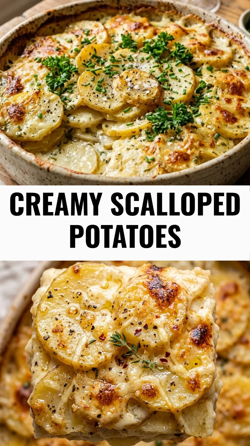 Creamy Scalloped Potatoes